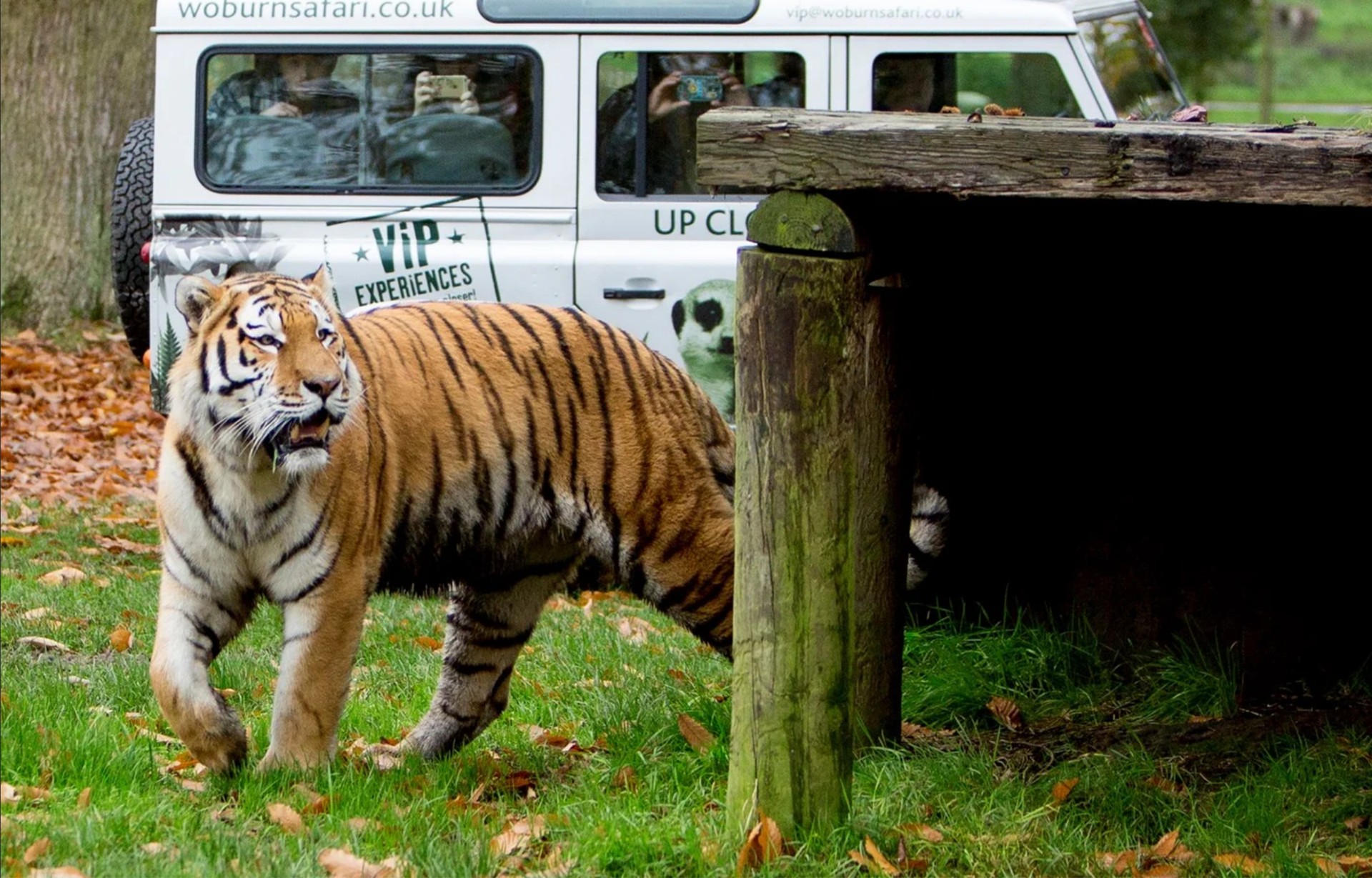 Woburn Safari Park, Bedfordshire 