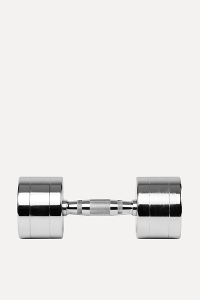 Chrome Dumbbells from Everlast