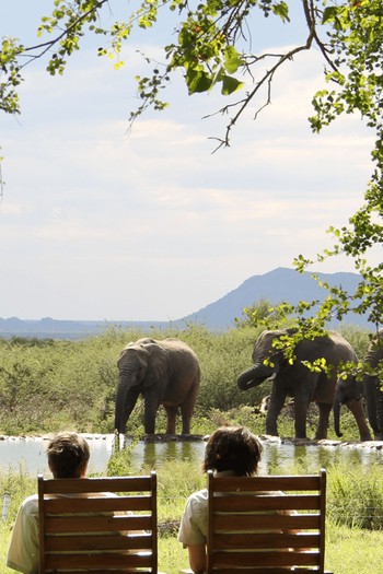 Madikwe Bush House, South Africa