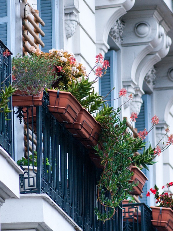 How To Plan A Balcony Garden