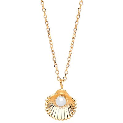 Shell Freshwater Pearl Pendant Necklace from Estella Bartlett
