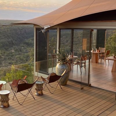 The New Safari Openings To Have On Your Radar 