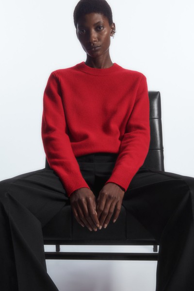 Pure Cashmere Jumper from COS