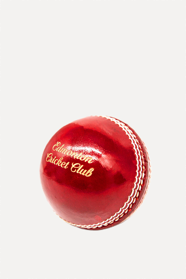 Personalised Cricket Ball from We Print Balls