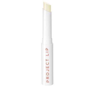 Matte Lip Plumping Primer from Project Lip