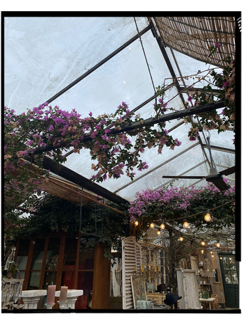 Petersham Nurseries