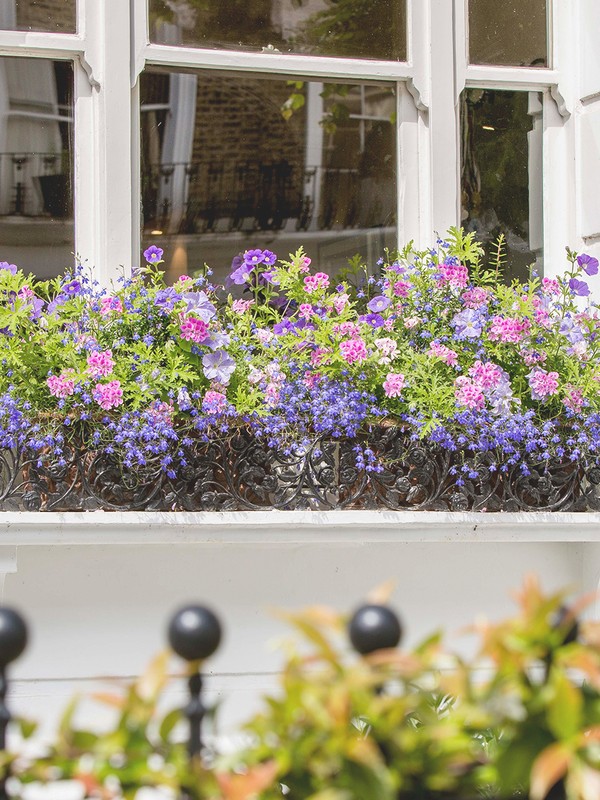 How To Create Beautiful Window Boxes
