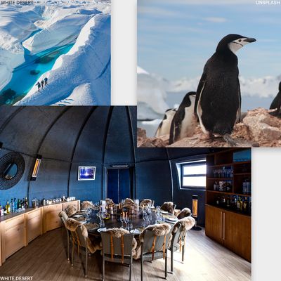 Why Antarctica Should Be On Your Bucket List