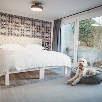 The UK’s Most Stylish Dog-Friendly Hotels