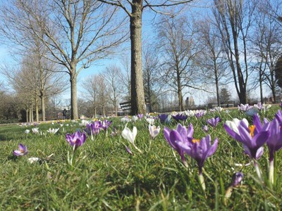 Peckham Rye Park