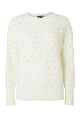 Ivory Pointelle Detail Jumper from Dorothy Perkins