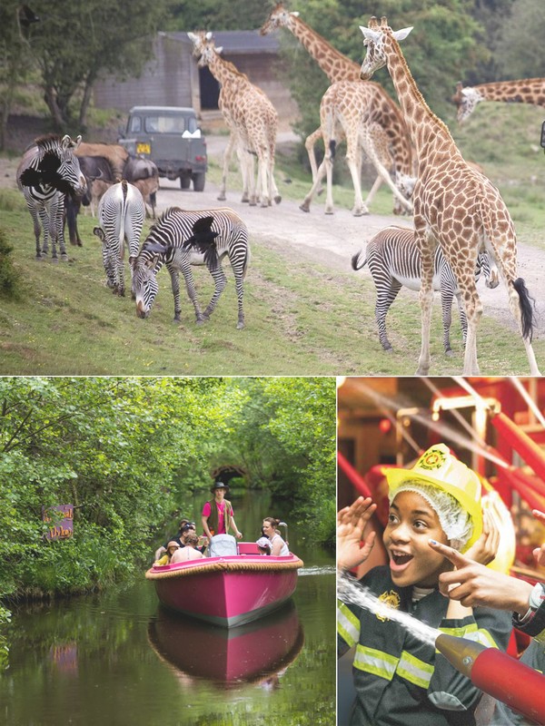 13 Fun Family Days Out