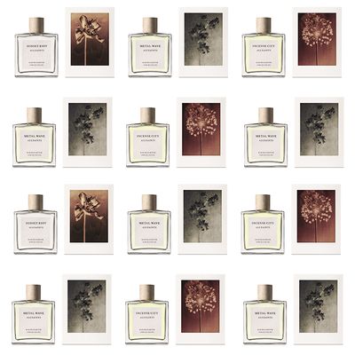 AllSaints Fragrance Collection, £49