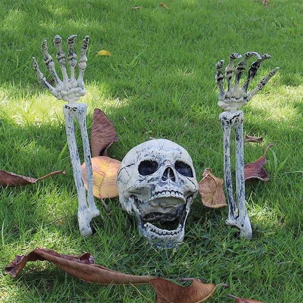 Fake Skeleton Head And Hands from Willkey