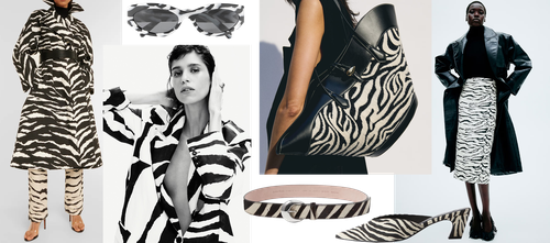 The Micro Trend: Zebra