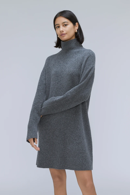 The Cozy Stretch Turtleneck Dress from Everlane