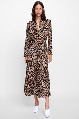 Long Leopard Print Dress from Zara