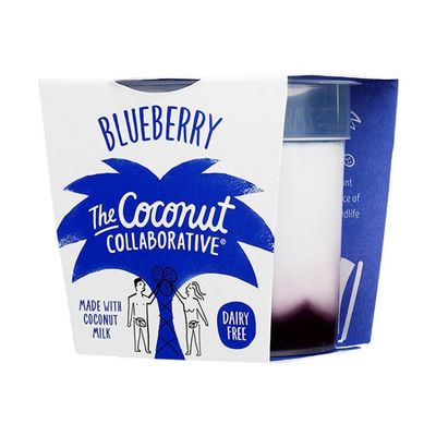 Dairy Free Blueberry Yogurt from The Coconut Collaborative