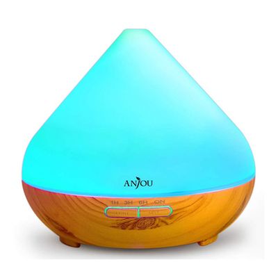 Ultrasonic Aroma Humidifier from Anjou