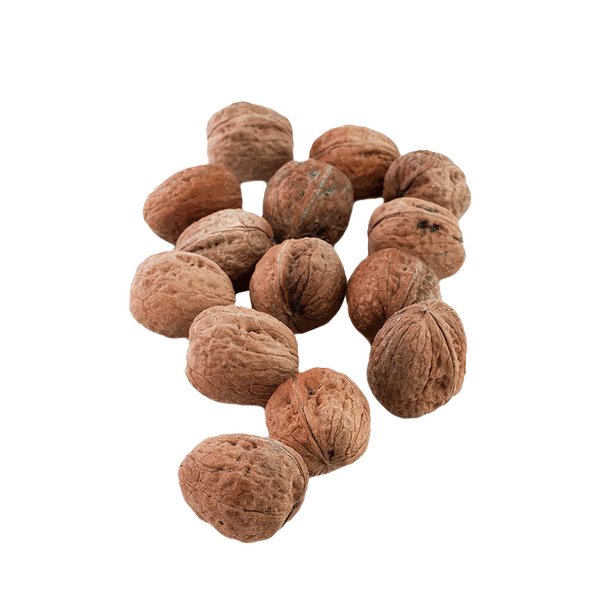 Walnuts In The Shell from Natoora 