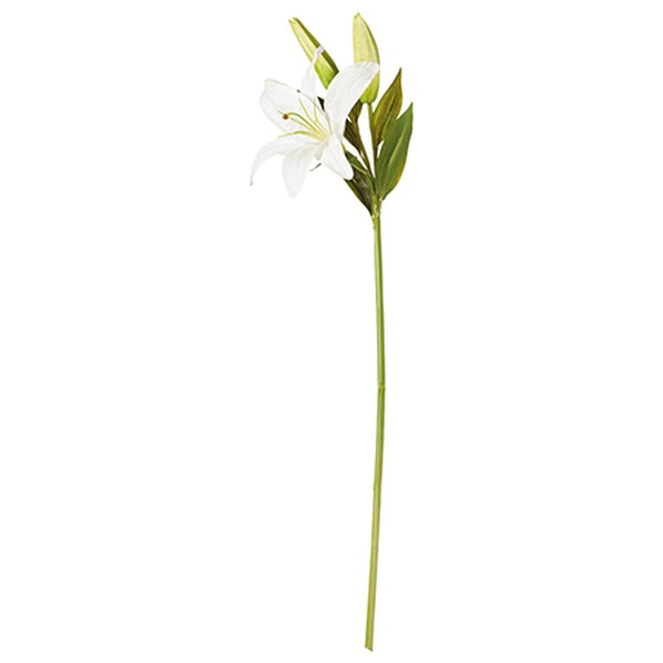 Faux Casablanca Lily Stem from Oka