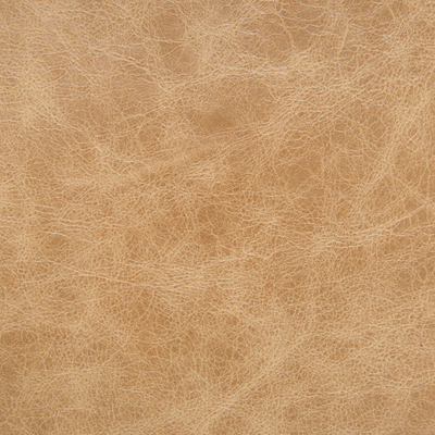 Alpine Coffee Leather from Whistler