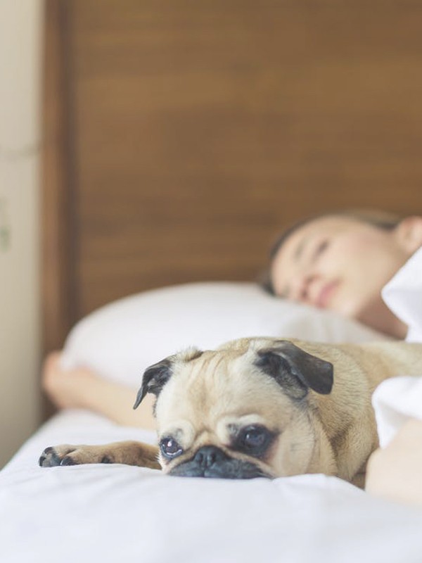 The Hack For Falling Asleep In 1 Minute