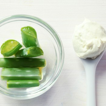  The Five Beauty Benefits Of Aloe Vera Beauty