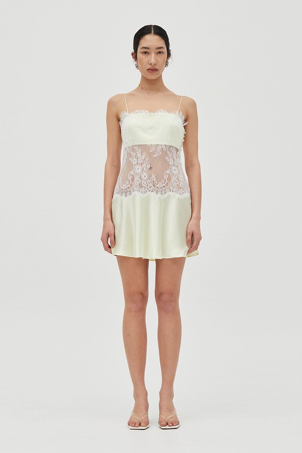 Poetry Lace Mini Dress