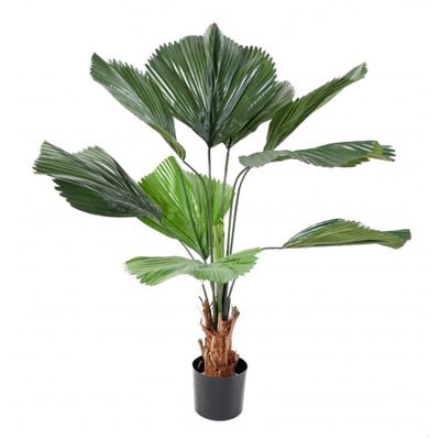 Artificial Licuala Grandis Palm from Artificial Plants