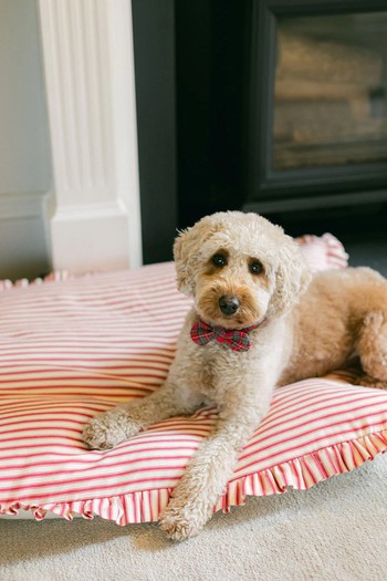 Handmade Ticking Bed Cushions from Paloma’s Products