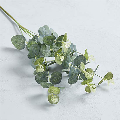 Artificial Eucalyptus Single Stem from Dunelm