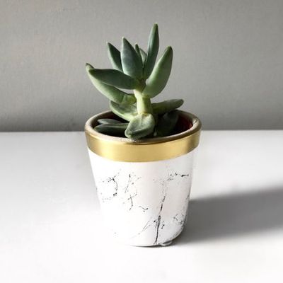 Mini Marble And Metallic Pot and Plant from Moody Mother Designs