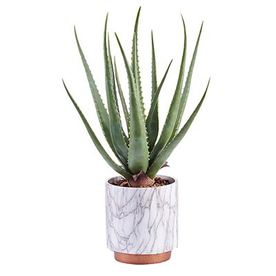 Peony Artificial Aloe Plant in Marble Pot from John Lewis & Partners 