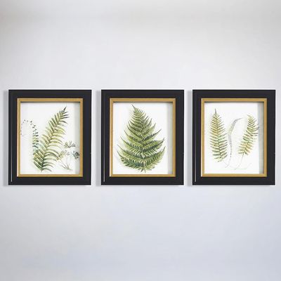 Wild Fern Framed Wall Art Trio from Alpine Charm