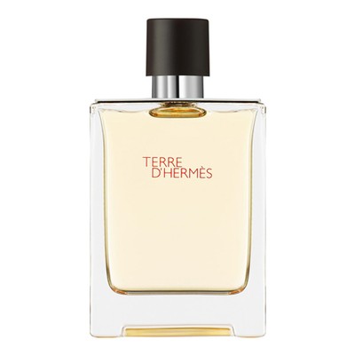 Terre d'Hermès Eau de Toilette from Hermès