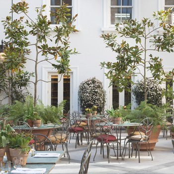 Why Everyone's Talking About The Petersham Nurseries Restaurant Opening