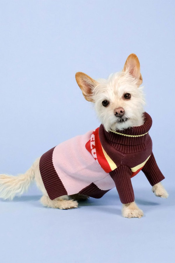 Holiday Club Knitted Dog Jumper from Barc London x The Hoxton