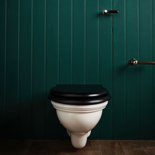 The Rother Wall Mounted WC Suite from Drummonds