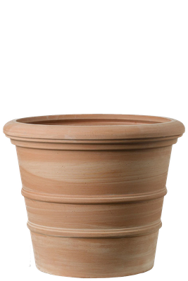 Siena Ribbed Terracotta  from RHS Plants 