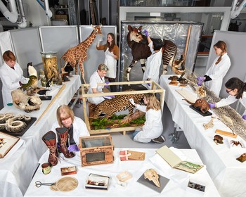 Fantastic Beasts: The Wonder Of Nature Exhibition At The Natural History Museum