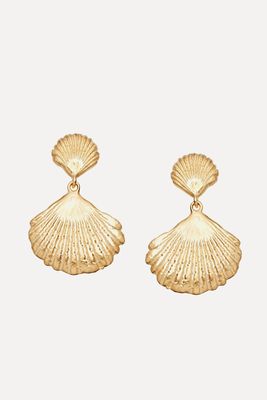 Double Shell Earrings from Daisy Jewellery