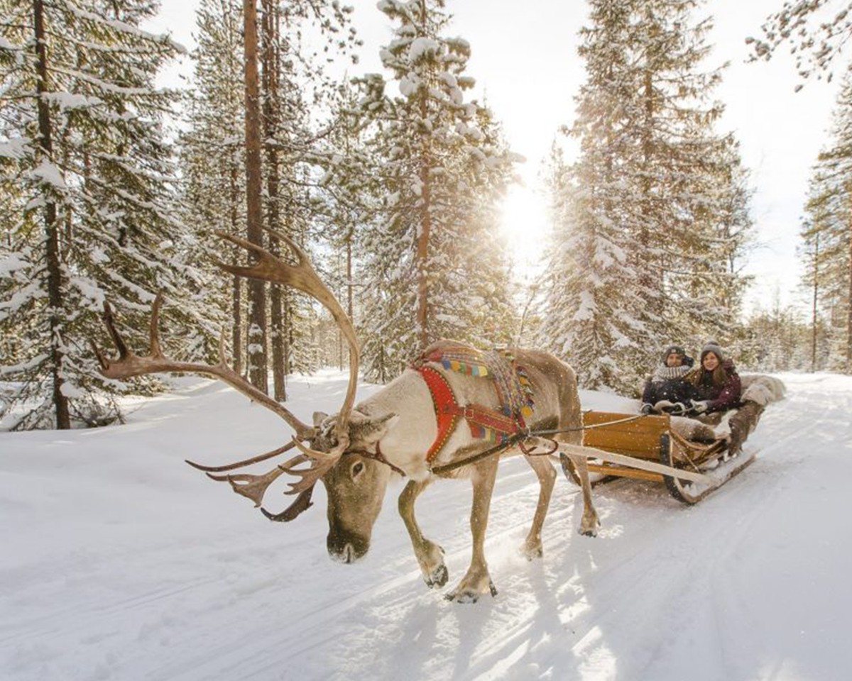 Nellim Wilderness Hotel