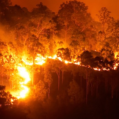 8 Ways To Donate To The Fight Against Australia's Bushfires