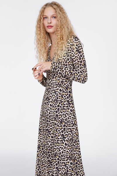 Animal Print Dress from Zara