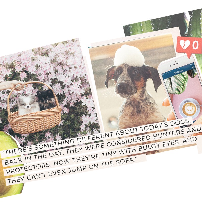 #MillennialProblems: Why Are We Treating Dogs Like Babies?