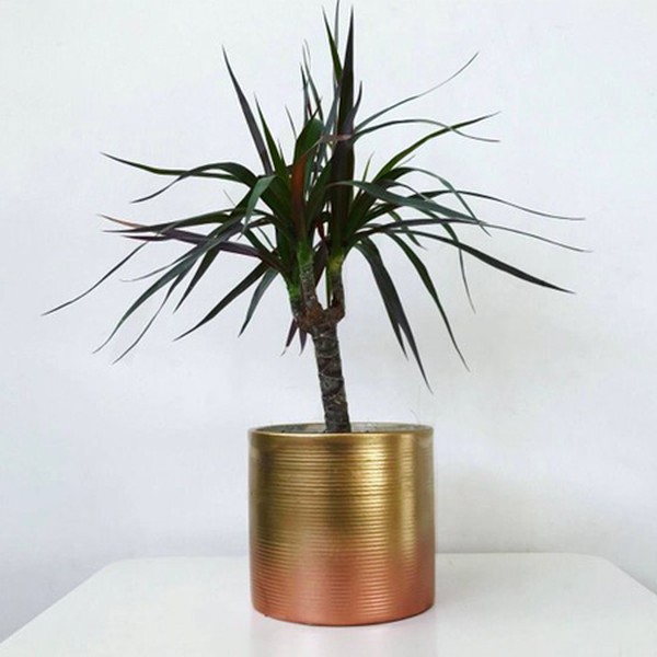 Ribbed Ombre Planter from Moody Mother Designs