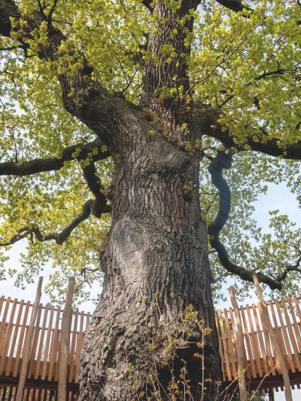 In The Know: Cool Things For Parents & Kids