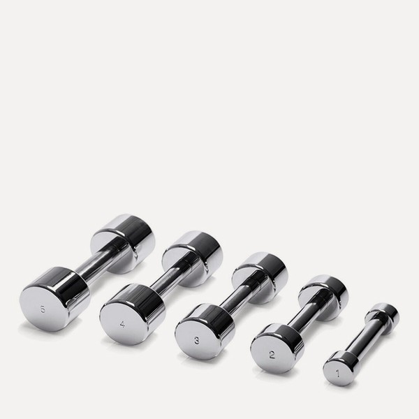Chrome Dumbbell from Technogym