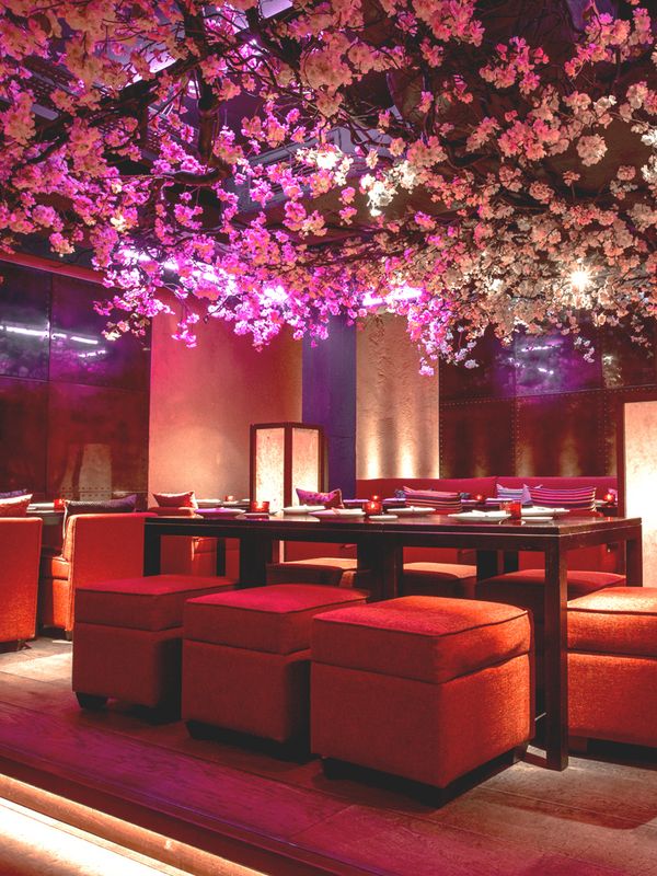5 Cherry Blossom-Filled Restaurants To Visit This Spring